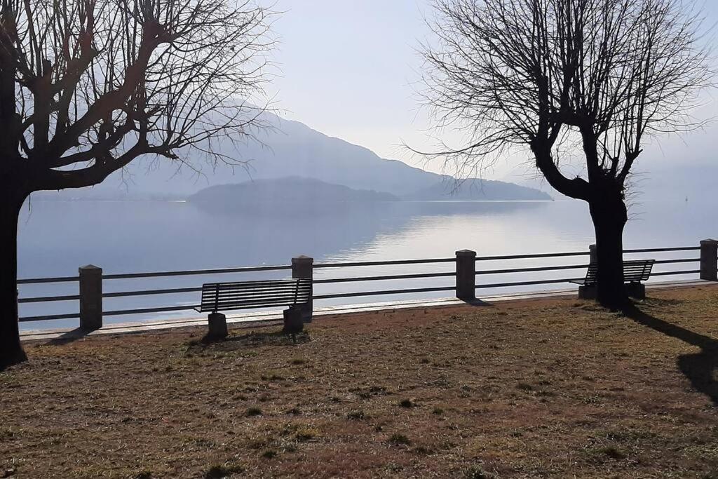 Villa House Marika Gera Lario Exterior foto